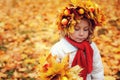 Cute adorable toddler girl portrait with bouquet of autumn leaves and wreath walking outdoor in park Royalty Free Stock Photo