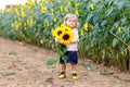 Cute adorable toddler girl on sunflower field with yellow flowers. Beautiful baby child with blond hairs. Happy healthy Royalty Free Stock Photo