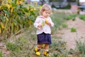 Cute adorable toddler girl on sunflower field with yellow flowers. Beautiful baby child with blond hairs. Happy healthy Royalty Free Stock Photo