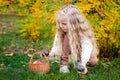 Cute adorable white Caucasian blonde preschool little girl picking fresh edible mushrooms in wicker basket Royalty Free Stock Photo