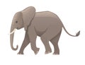 Cute adult elephant on the walk cartoon animal design flat vector illustration isolated on white background Royalty Free Stock Photo