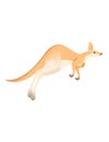 Cute adult running kangaroo australian animal cartoon animal design vector illustration isolated on white background Royalty Free Stock Photo