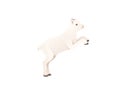 Cute adult white goat jumping farm animal cartoon animal design vector illustration isolated on white background Royalty Free Stock Photo