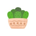 Cute aesthetic mini cactus. Isolated Ilustration.