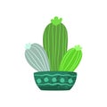 Cute aesthetic mini cactus. Isolated Ilustration.