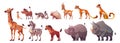 Cute africa zoo animal vector illustration set