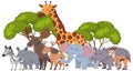 Cute African animals in flat style Royalty Free Stock Photo