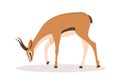 Cute african antelope. Gazelle with horns on white background. Mammal animal. Vector illustration in flat cartoon style Royalty Free Stock Photo