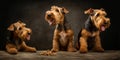 Cute Airedale Terrier Trio Catching Treats in Studio Setting. Generative AI Royalty Free Stock Photo