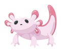 cute ajolote baby Royalty Free Stock Photo