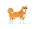 Cute akita inu - modern vector cartoon characters illustration