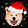 Cute akita merry christmas