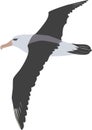 Cute albatross vector Royalty Free Stock Photo