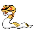 Cute albino pied ball python cartoon