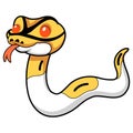 Cute albino pied ball python cartoon