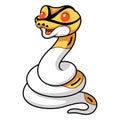 Cute albino pied ball python cartoon