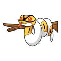 Cute albino pied ball python cartoon on tree branch