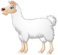 Cute alpaca cartoon Royalty Free Stock Photo