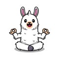 cute alpaca doing yoga cartoon icon illustration Royalty Free Stock Photo