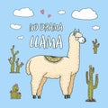 Cute Alpaca Llamas or wild guanaco on the background of Cactus and mountain. Funny smiling animals in Peru for cards