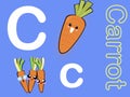 Cute alphabet letter C is for Carrot in fruits and veggies flashcard collection for preschool kid learning English vocabulary Royalty Free Stock Photo