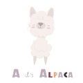 Cute alphabet letter A with cartoon alpaca. Vector illustration.