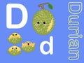 Cute alphabet letter D is for Durian in fruits and veggies flashcard collection for preschool kid learning English vocabulary