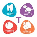 Cute alphabet in vector. T letter for Tooth, Turtle, Tomato and Turkey.