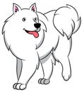 American Eskimo Cartoon Dog