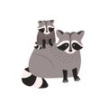 Cute amusing raccoon with cub isolated on white background. Family of funny adorable wild forest carnivorous animals