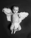 Cute angel baby boy Royalty Free Stock Photo