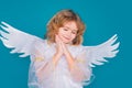 Cute angel kid, studio portrait. Blonde curly little angel child with angels wings, isolated background. Dreamy angel Royalty Free Stock Photo