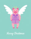 Cute angel pig cartoon character with a gift. Merry Christmas vector illustration. Royalty Free Stock Photo