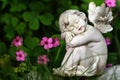 Cute angel and pink flowers Royalty Free Stock Photo