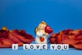 Cute angel and words of love on the background of rose petals .Valentine`s Day. Postcard for the holidays Royalty Free Stock Photo