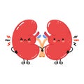 Cute angry Kidneys organ character. Vector hand drawn cartoon kawaii character illustration icon. Isolated on white