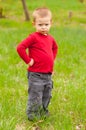 Cute angry little boy standing on the meadow