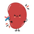 Cute angry Spleen organ character. Vector hand drawn cartoon kawaii character illustration icon. Isolated on white