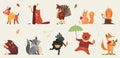 Cute animal in autumn vector illustration set, cartoon hand drawn autumnal forest collection with funny animals holding Royalty Free Stock Photo