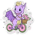 Cute animal baby. Cute dragon with flowers on a bike