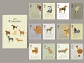 Cute animal calendar 2022 design,The year of the breed dog monthly cards templates,Set of 12 month,Monthly kids,cool,Vector illust