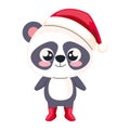 cute animal christmas panda