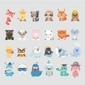 Cute animal collection