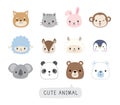 Cute animal faces Royalty Free Stock Photo