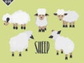 Cute animal flat lamb selection