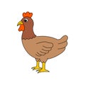 Cute animal of hen on cartoon version