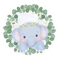 Cute baby elephant illustration for children Royalty Free Stock Photo