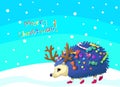 The hedgehog walks and bears candies, a card a congratulation merry Christmas. Vector illustration