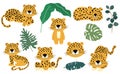 Cute animal object collection with leopard,tiger. illustration for icon,logo,sticker,printable