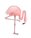 Cute animal, peach pink flamingo. Cartoon animal character design. Flat vector illustration isolated on white background. Flamingo Royalty Free Stock Photo